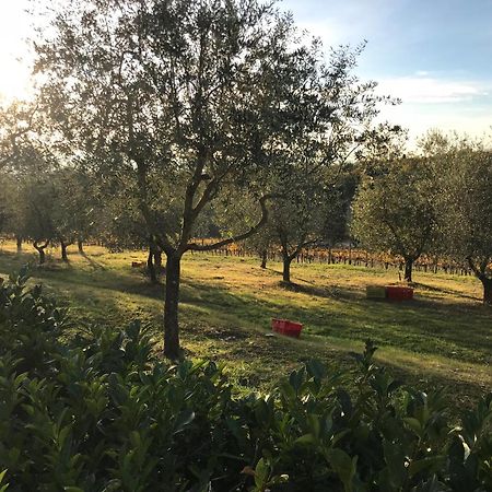 Il Villino Farmhouse كاستيلّينا إنْ كْيانت المظهر الخارجي الصورة