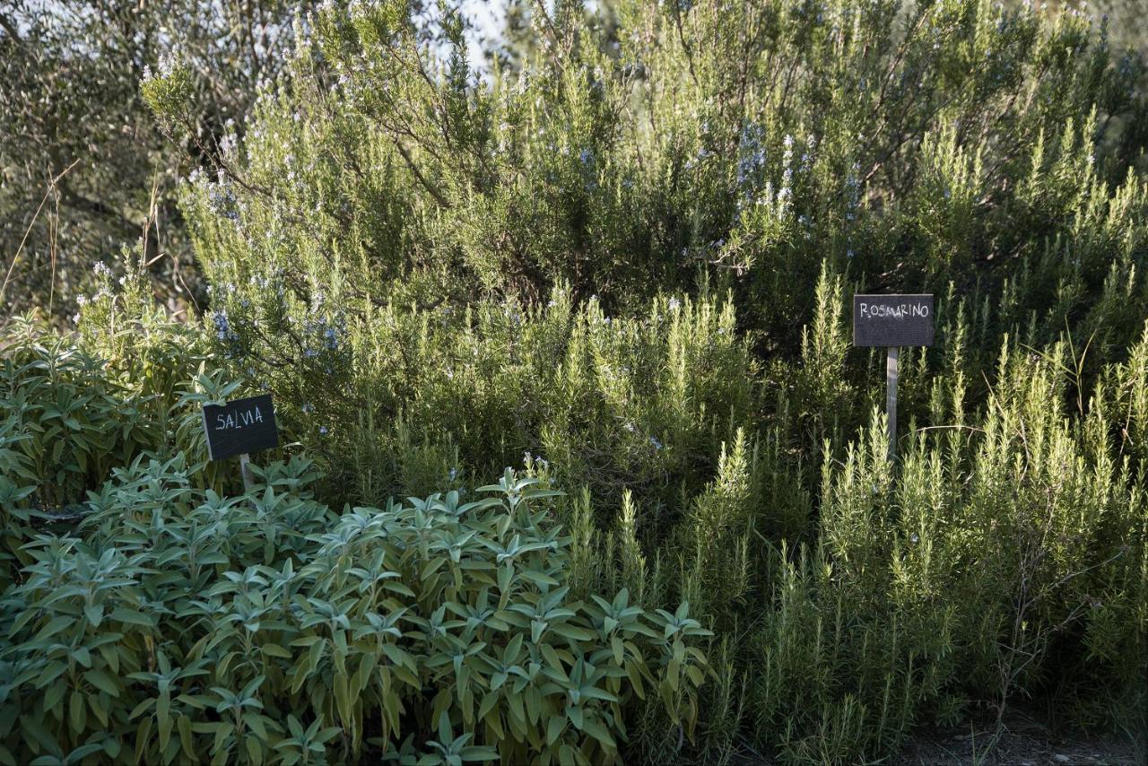 Il Villino Farmhouse كاستيلّينا إنْ كْيانت المظهر الخارجي الصورة