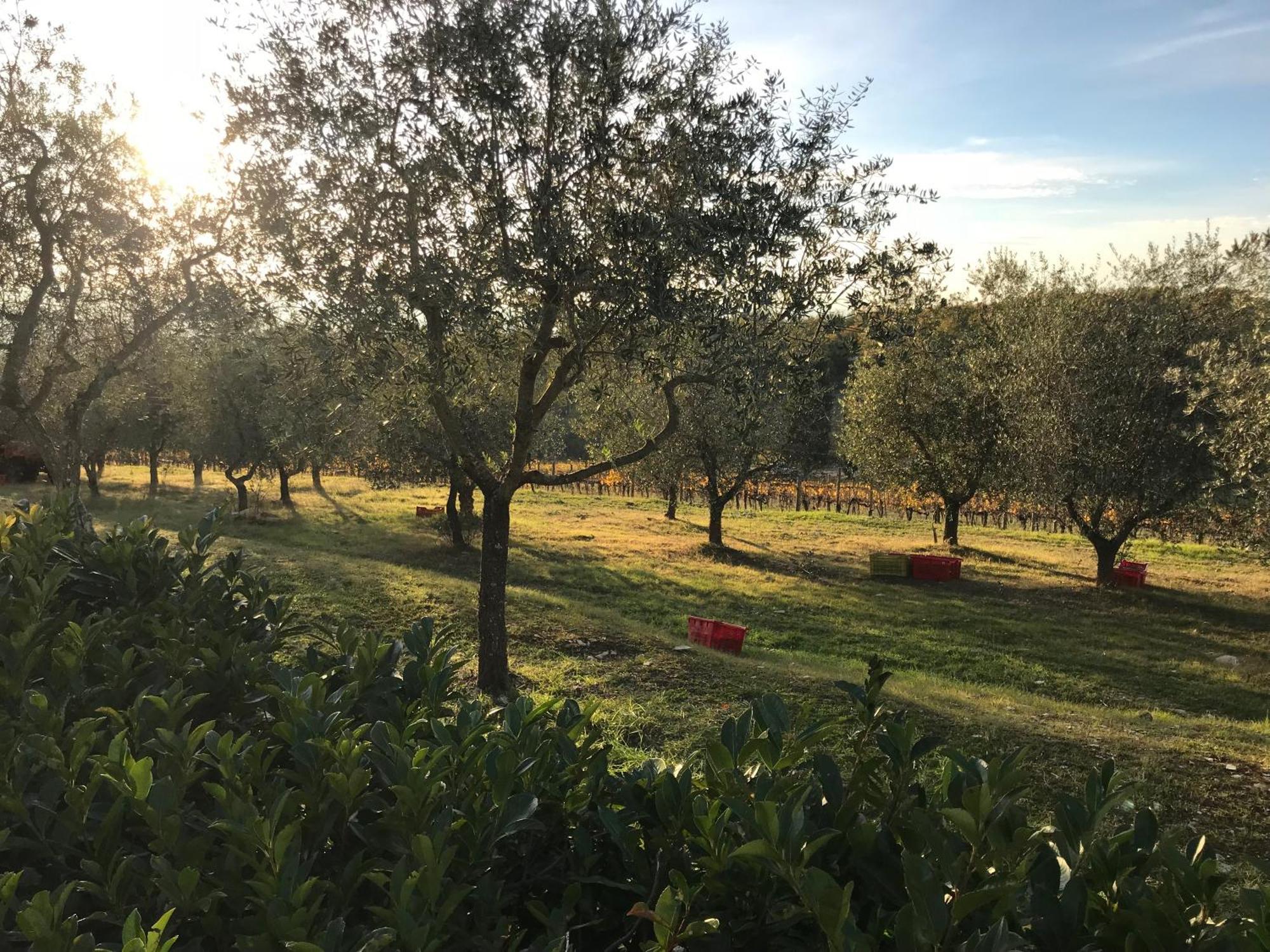 Il Villino Farmhouse كاستيلّينا إنْ كْيانت المظهر الخارجي الصورة